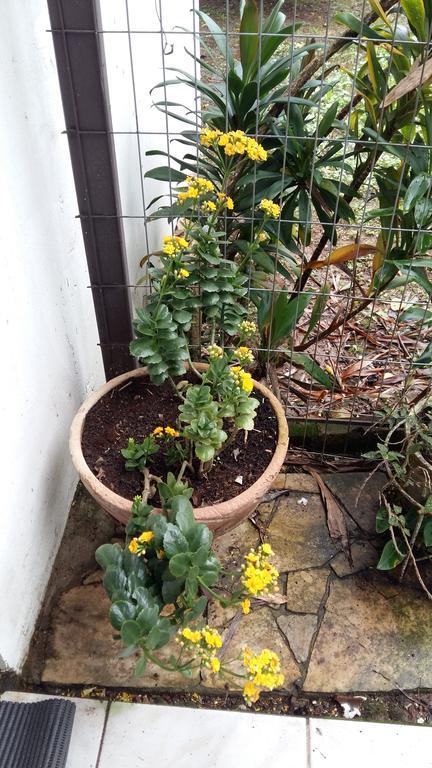 Pousada Três Coroas Buitenkant foto